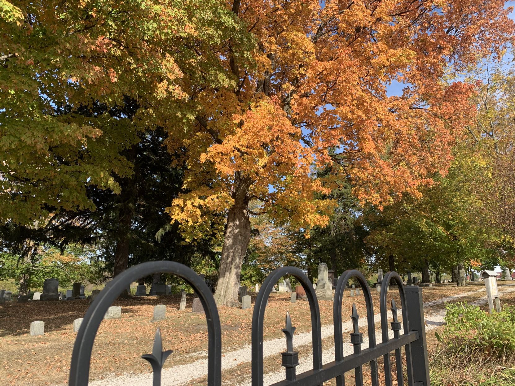 Springfield Union Cemetery